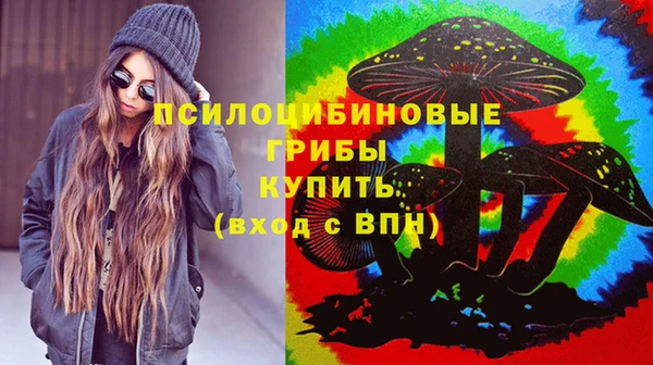 мдма Ельня