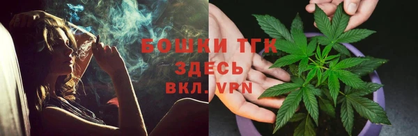 spice Губаха