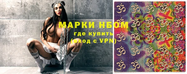 PSILOCYBIN Елабуга