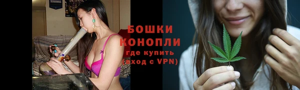 PSILOCYBIN Елабуга