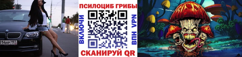 Галлюциногенные грибы MAGIC MUSHROOMS  как найти наркотики  Каменка 